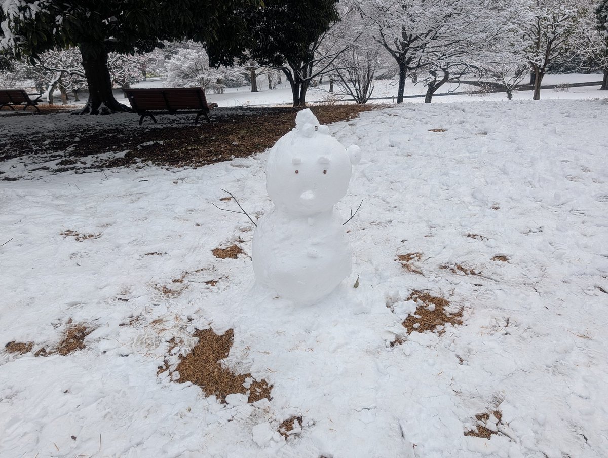 見つけた⛄️⛄️⛄️