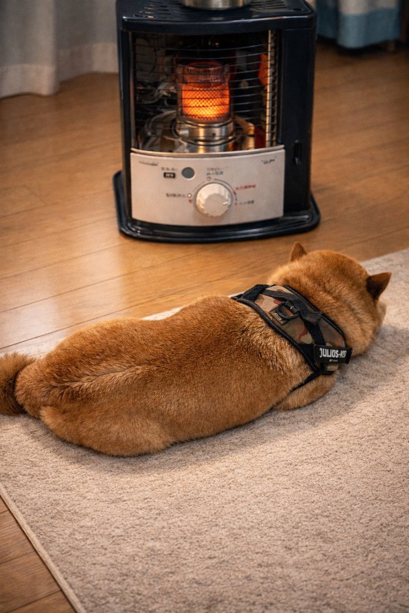 OtotoDiningBou (@bouzbou) / Posts / X