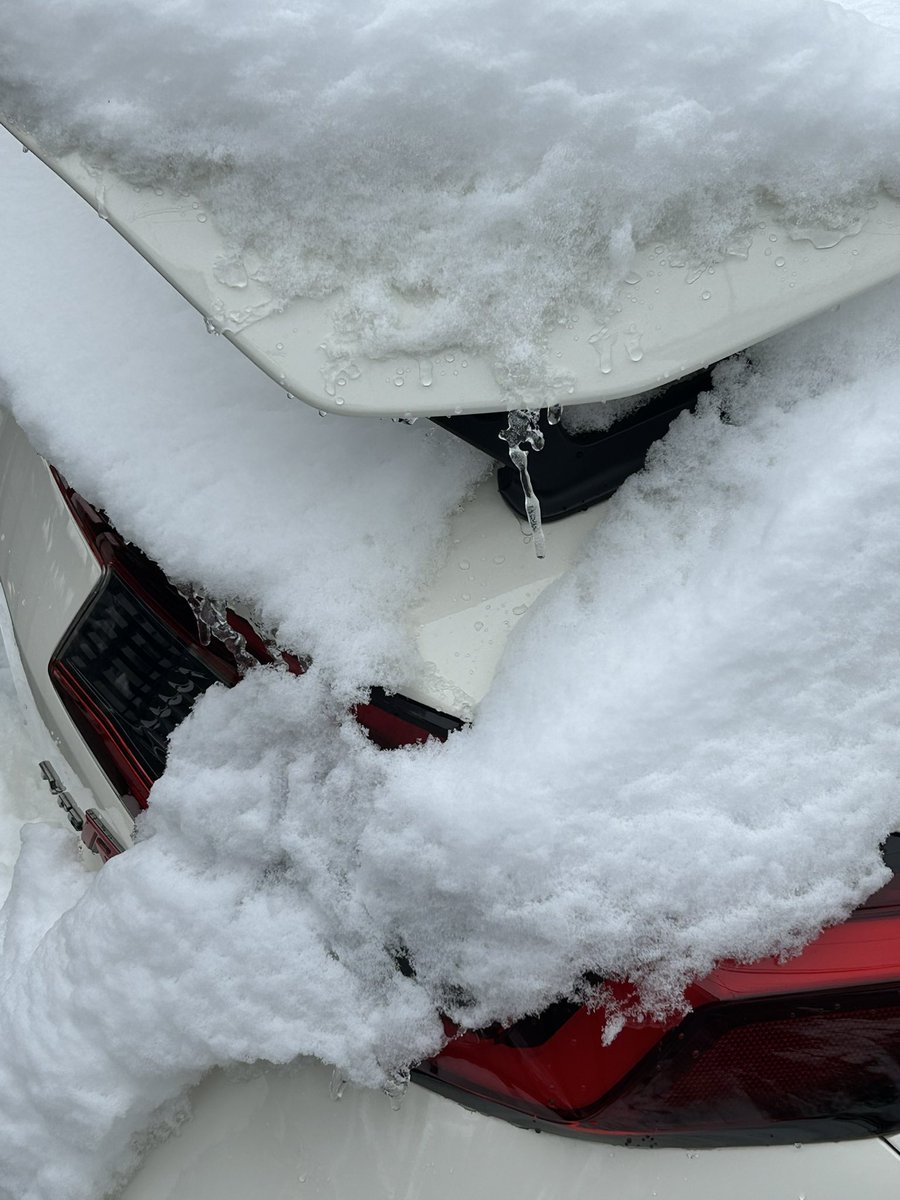 しばシビつららってる🥶