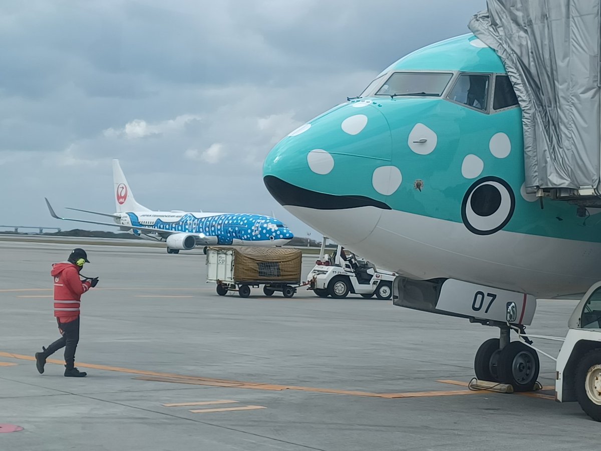 #JAL
の、生涯搭乗回数
997回目は偶然これです。