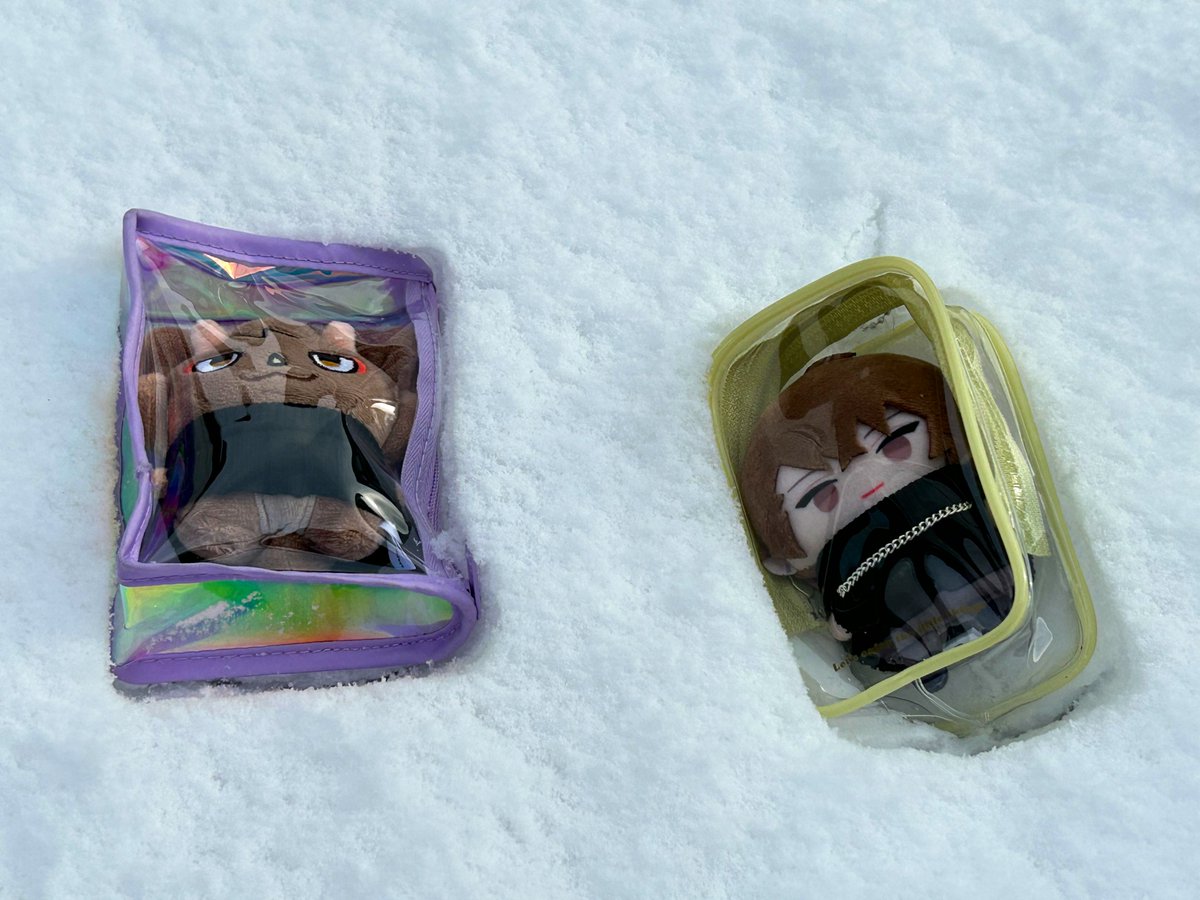 Post by 🐏 on X: 楽しいかそうか