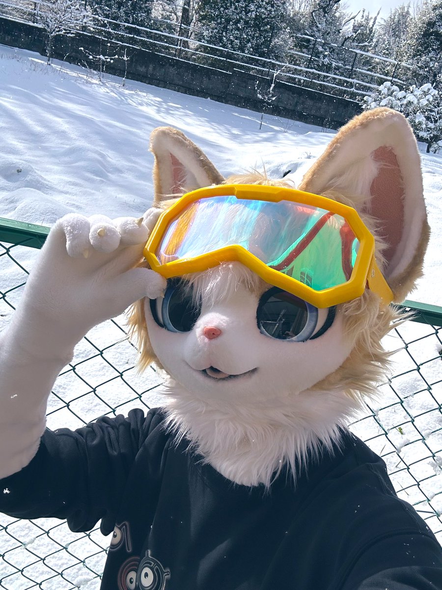 雪降りました❄️ 🐈🐾

#FursuitEveryday