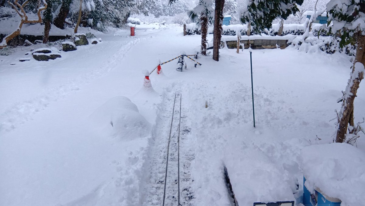 Seisho_Shinrin's tweet photo. 西湘森林鉄道は大雪のため運転を見合わせておりましたが、一部区間の除雪が完了し、桜下駅構内のみ運転を再開いたしました。
速度を落として運転しております。
#庭園鉄道
#5インチゲージ
#大雪 https://t.co/8AwkSpK25m