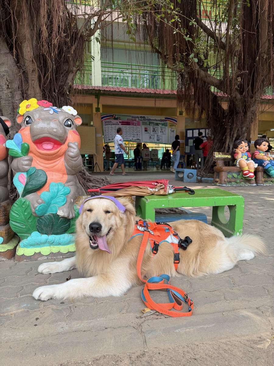 เลือกตั้งกันคับพี่ๆ #เลือกตั้ง69