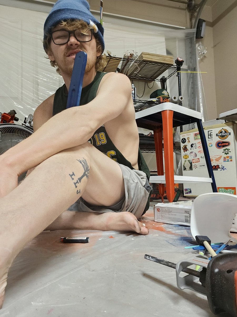 mr fox. 🦊 tweet media