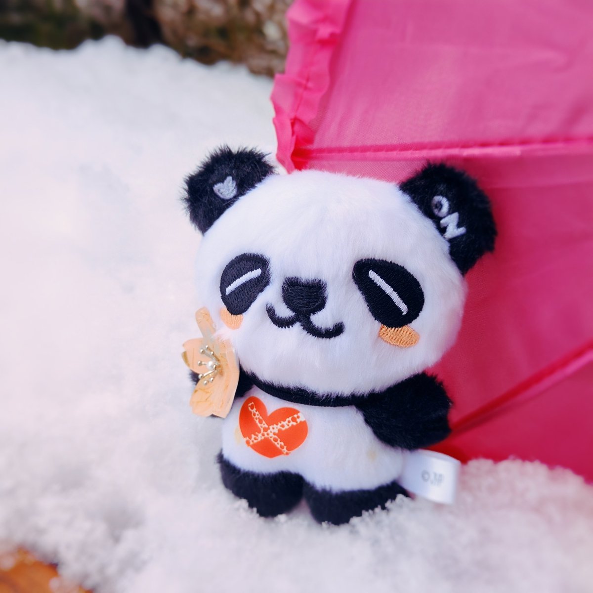 こんなに積もったの
久し振りだね