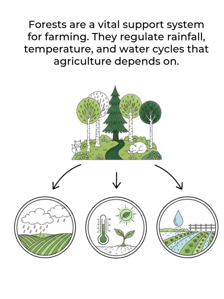 yographic39's tweet photo. @cpsavesoil #SaveSoil #SoilHealth #ConsciousPlanet #Waterbody #Agriculture 💦 https://t.co/xyiL3oUu8W