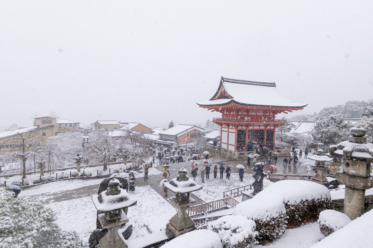 清水寺　2026.2.8撮影📸

今日の京都市内はどこどこどーん雪大フィーバーでした☃️
私は仕事の合間に趣味活してきました🥳

#京都よきかな