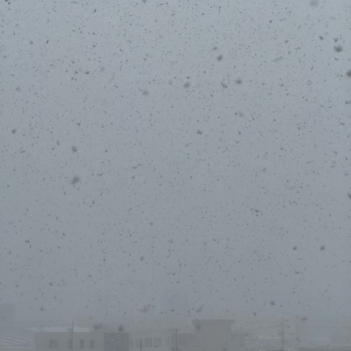 んー、勢いが変わりませんねぇ☃️