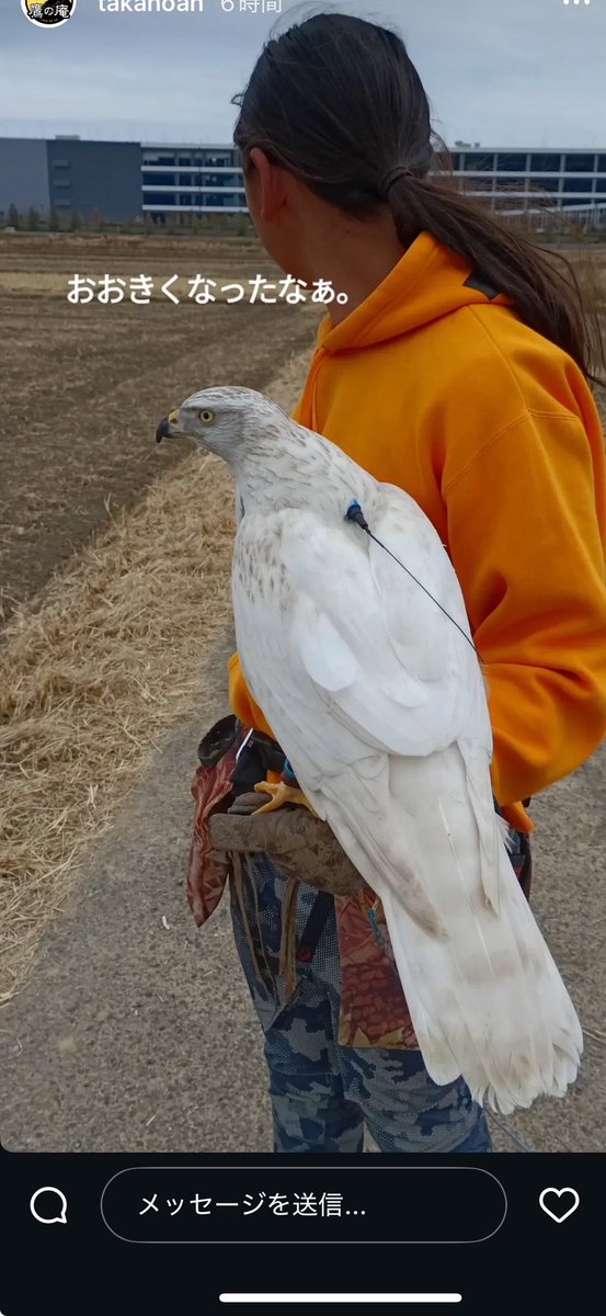 アクアリミテッド tweet media