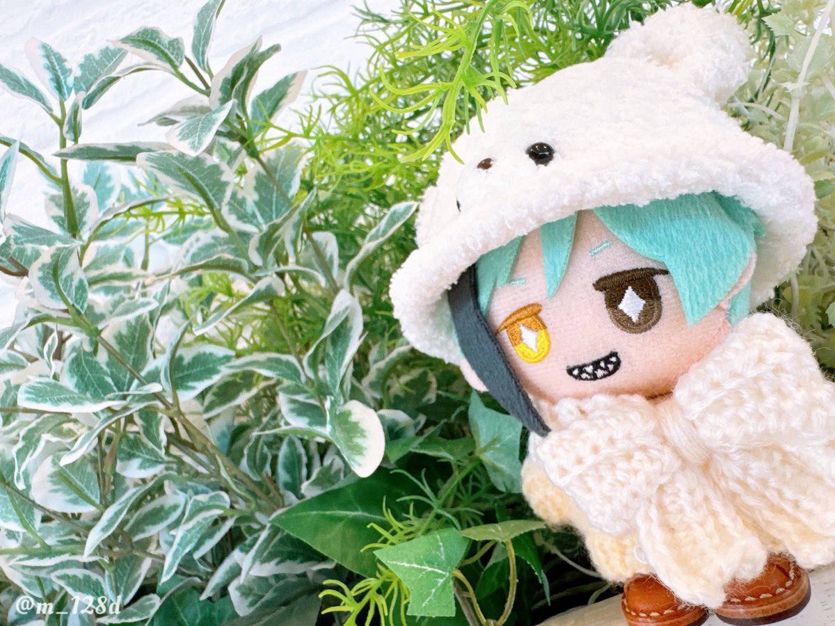 Post by みぃ on X: ・ᴥ・💛ྀི