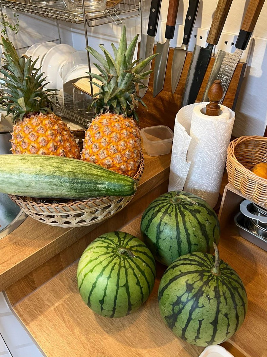 Rabbit_Feel's tweet image. 果物を食べ始めましょう。