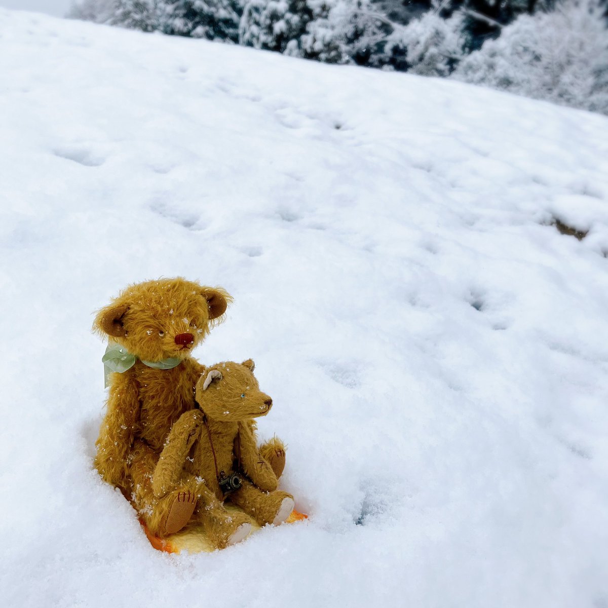 雪だぁ〜〜！！と自宅を飛び出して、大きな雪だるまを作りました⛄️腰が痛いけど…楽しかった〜〜🥹
#雪だるま　#ゆきだるま　#大雪
#くま
