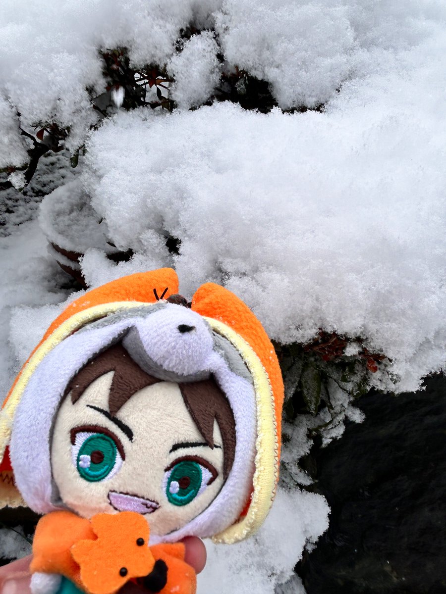 🐶❄️❄️🎶