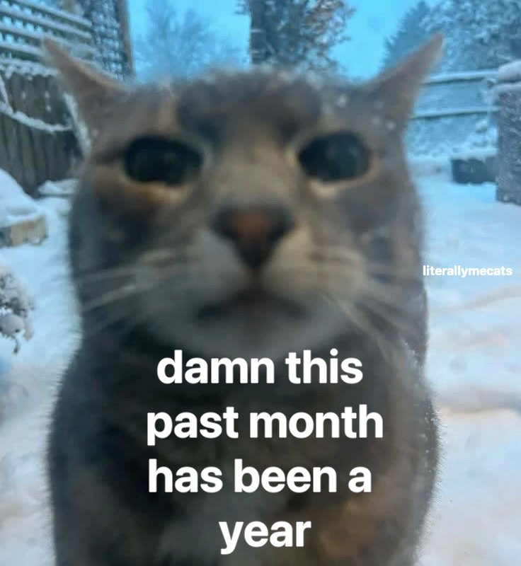 RobDog_ (@rob2850) on Twitter photo 