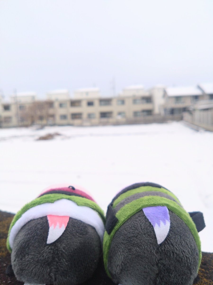 ☁雨さん！真っ白だよ！これは何？

☔そうですね、雲さん🐾
この真っ白な物は雪といいます❄

👵君たちがうちに来てから初めて見るねぇ😊寒いし早くお家に帰りましょ🏠