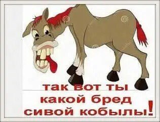 Stasko67's tweet photo. @SdibqJgth https://t.co/sY6Hw6w4Xi