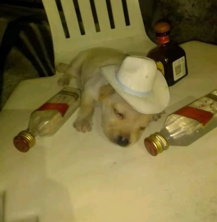 thinking about.... noremma tonight......