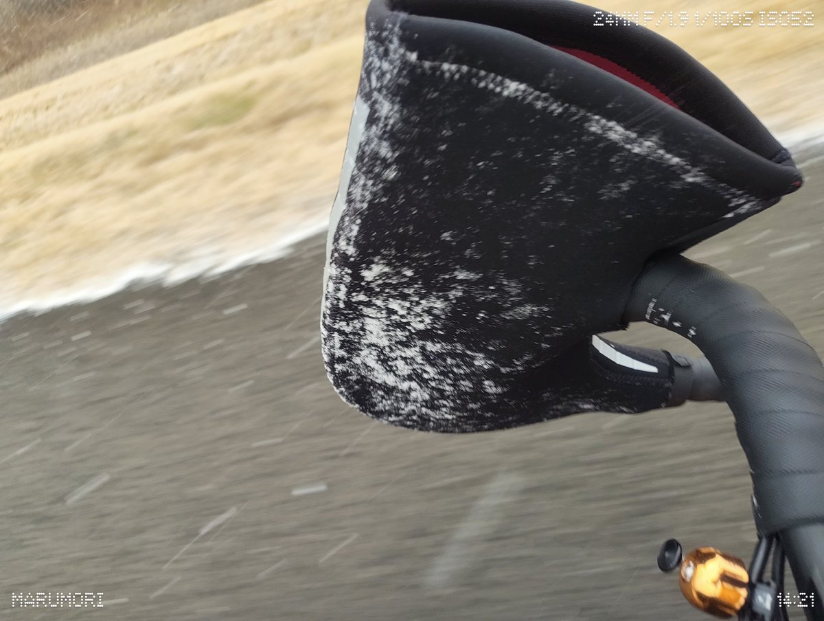 の「寒いだけで風も弱いしZ2しにいくか」
数分後
「どうして」