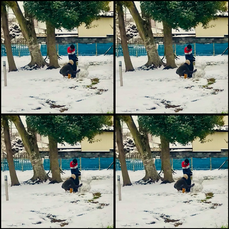 haeckel's tweet photo. 投票所まで徒歩３分ということで、こちらに越してから選挙皆勤賞です。 #stereograph #stereoview https://t.co/vE4OX3S70b