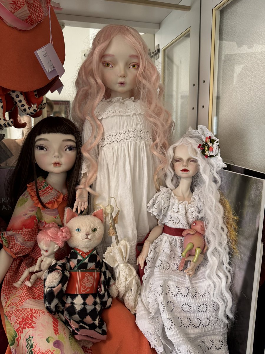 てらお なみ🏳️‍🌈 (@terao73) / Posts / X