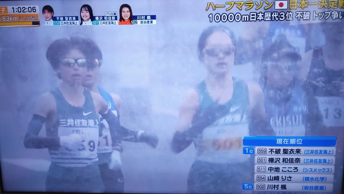 雪に降られてサムイサムイ言いながら帰ってきたら、テレビでやってる山口？のハーフマラソンがクソ吹雪いててなんかすんませんってなった
おでこに積もっちゃってるもの