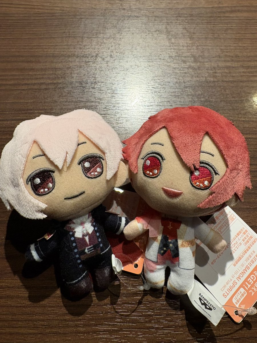メインアプリまだ起動してないのに先にぬいを得てしまったオタク(差し入れでいただいた)