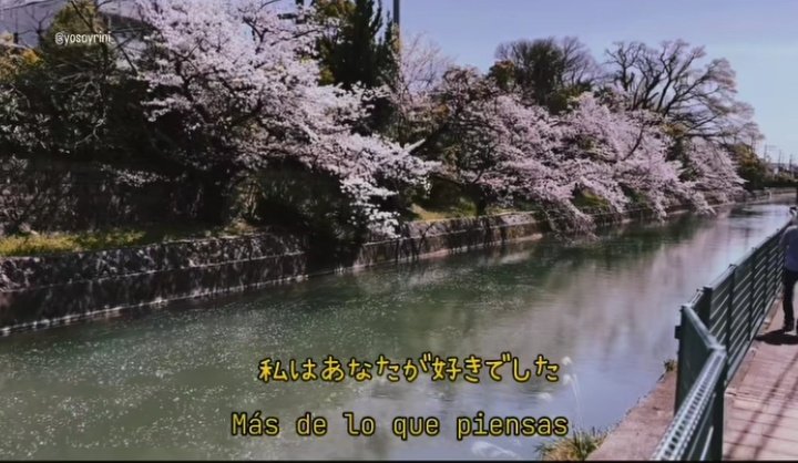 Klaus (@klaus_cam) on Twitter photo 