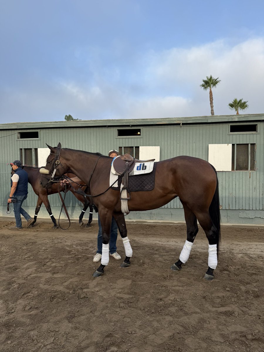 Dan Blacker Racing tweet media