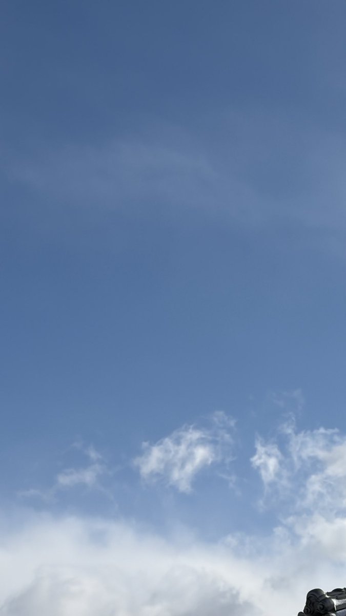 ヒカリーヌ tweet media