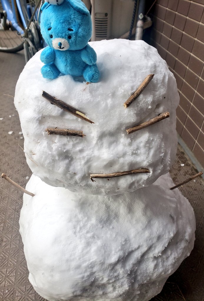 家の回りにまあまあ雪が積もったので 雪遊び祭りじゃあああああい