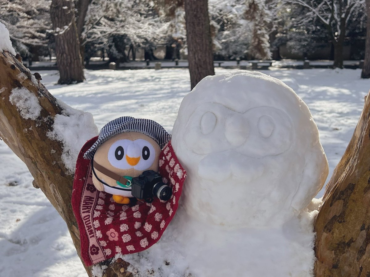 トレーナーとモクちゃんだるま作ったもふ！☀️