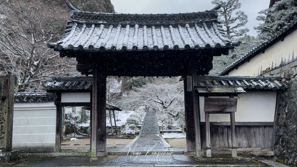 kyotodreamtrips's tweet image. Snowflakes gently fall at the Ikkyu-ji Temple in Kyotanabe, Kyoto Prefecture. #snowday #snowsnowsnow #kyotojapan #kyototrip #zen #禅 #japanesegarden #日本の庭園 #京北随 #ikkyuji #酬恩庵 #ikyuji