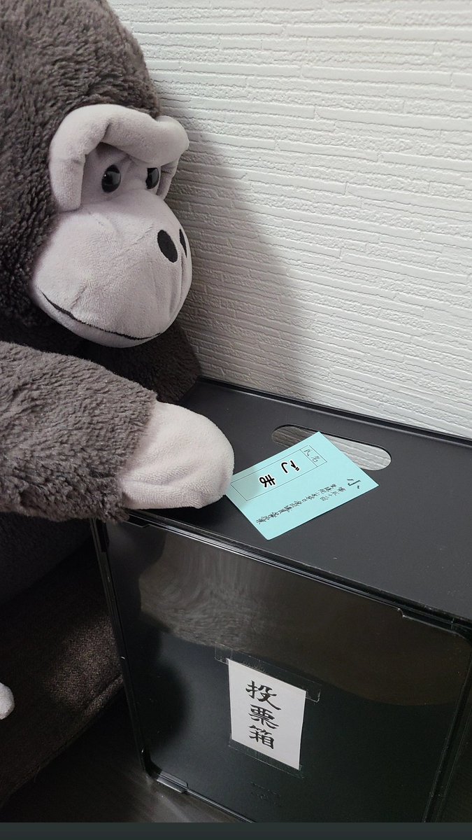 #選挙
#選挙に行こう 
#選挙へ行こう 
#選挙にいこう 
#ママ戦争止めてくるわ 
#開票 
#ぬいぐるみ
#ぬい活 
#ぬい撮り