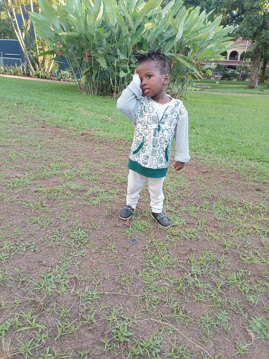 JK Shine tweet media