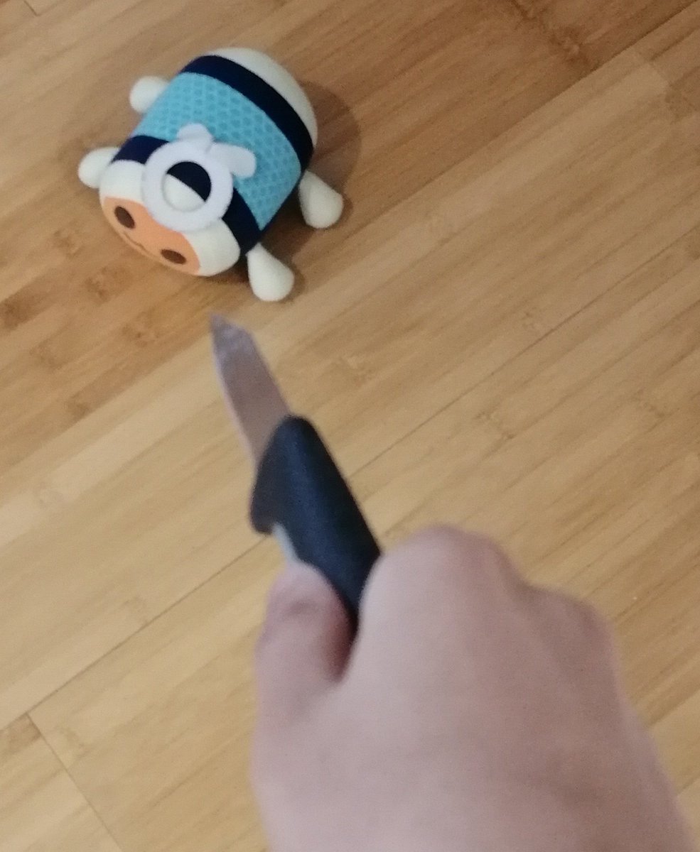 🇵🇸 Don-chan Posting 🇵🇸 tweet media