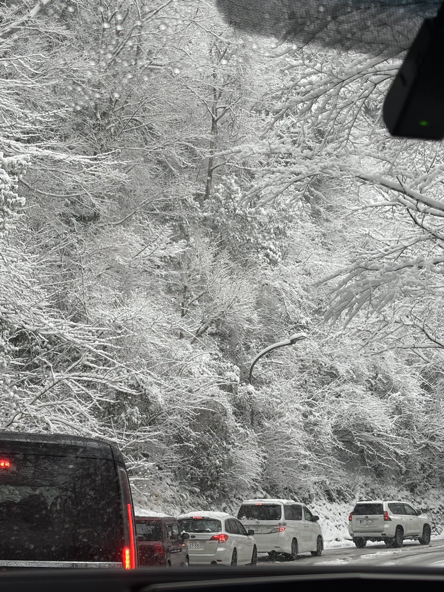 箱根で大雪、ノーマルタイヤ車が次々スタックし渋滞と事故相次ぐ