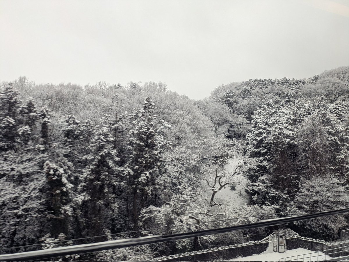 futanoki's tweet image. 丹那トンネルを抜けても銀世界。