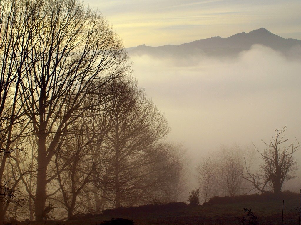 El árbol que hay en mí sigue despertando de inviernos y nieves: más memoria, más senderos, más verdad. Lo vivido cae como hojas que nutren quien soy. Espero la primavera con los brazos abiertos al sol. Camino por la vida abrazando su misterio, sin necesidad de entenderlo del todo