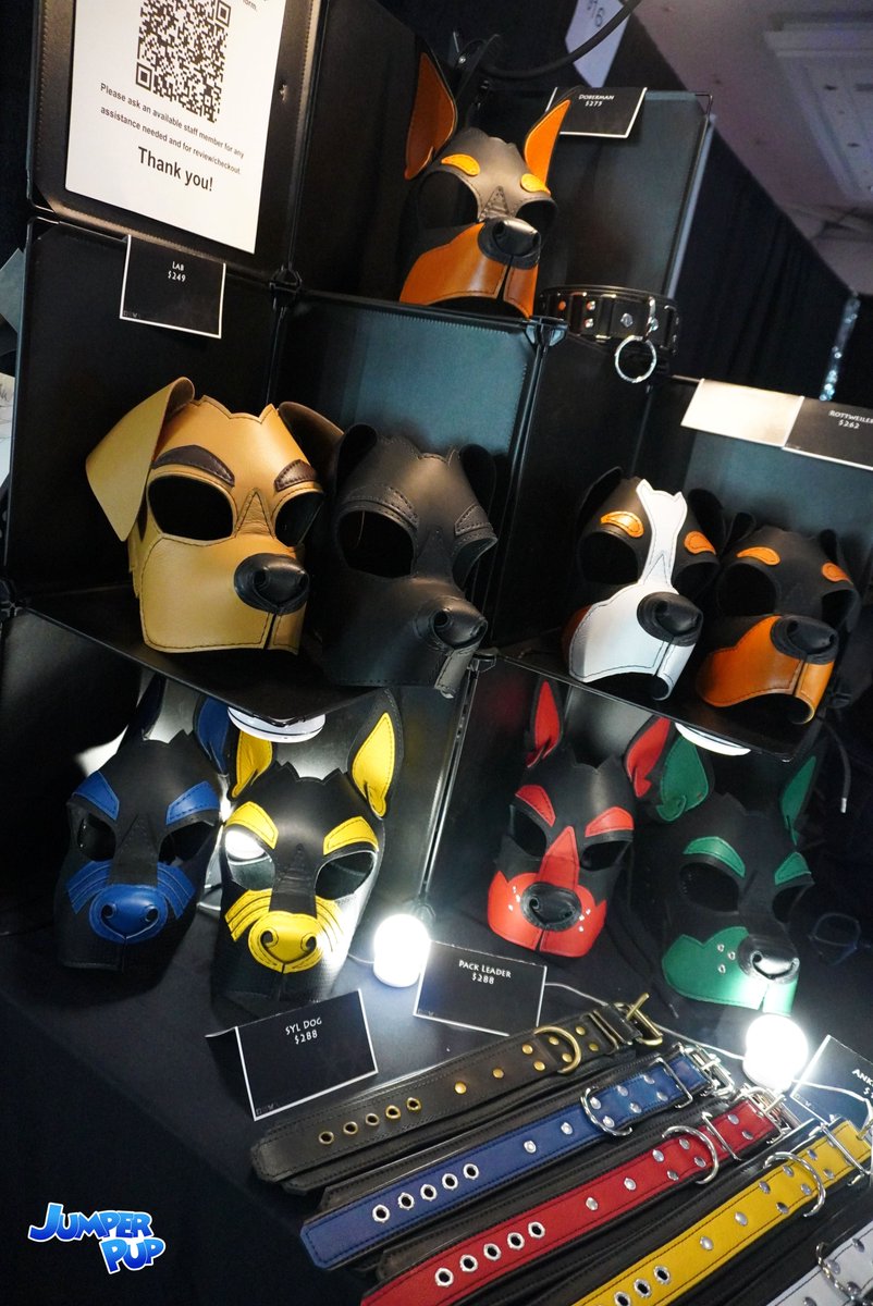 Jumper Pup tweet media