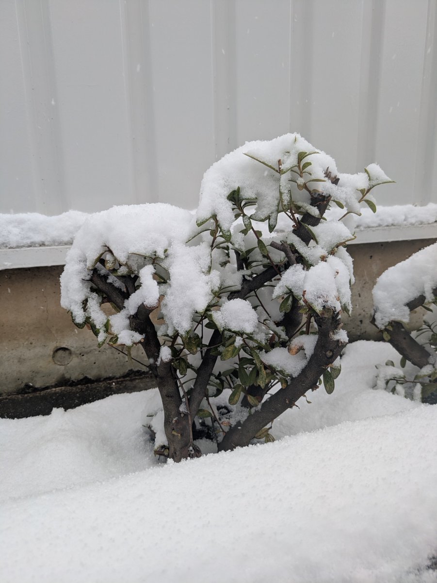 レース用品専門店「RAC RACING GEAR SHOP」🏁 tweet media