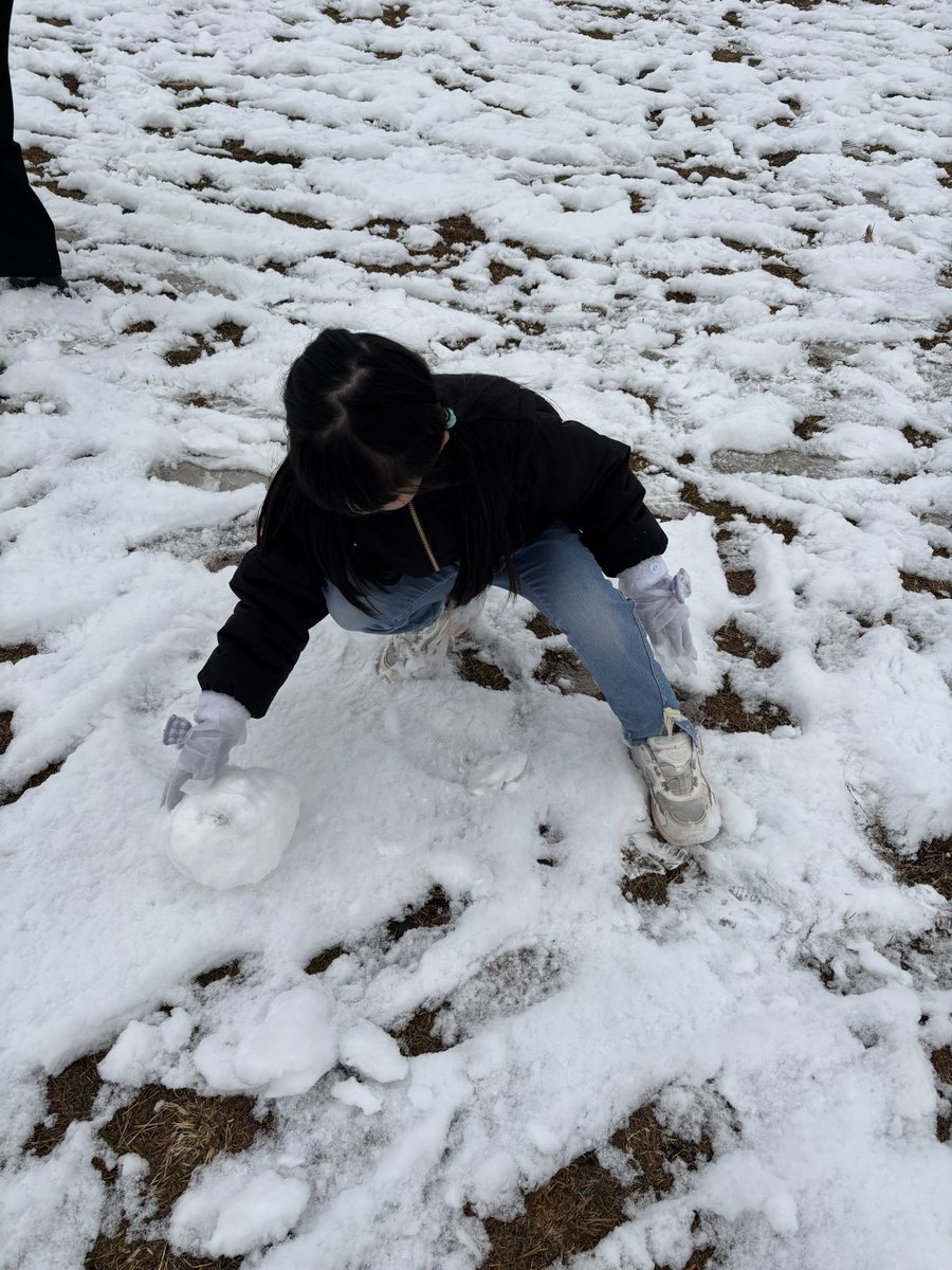 雪☃️景色なう