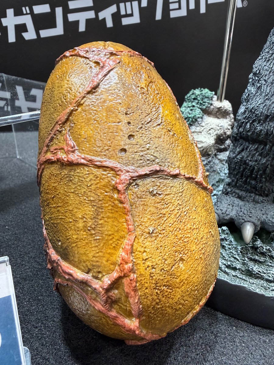 #WF2026W 展示品紹介㉓❄️
東宝30cmシリーズにてゴジラ(1998)が登場‼️
これまでのゴジラとは一線を画す特徴のあるデザインを再現し、躍動感のあるポーズに仕上げました✨
少年リック限定版には手のひらサイズのゴジラの卵が付属🥚
近日受注開始予定、お楽しみに💁

#エクスプラス #少年リック #ゴジラ