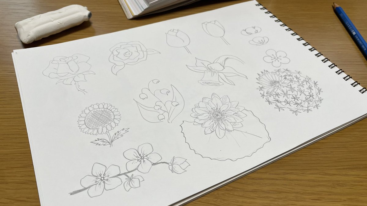_10noji's tweet photo. お花のドローイーーーング！
楽しい楽しい楽しい
見て描くの楽しいよね https://t.co/lfaIniR32A