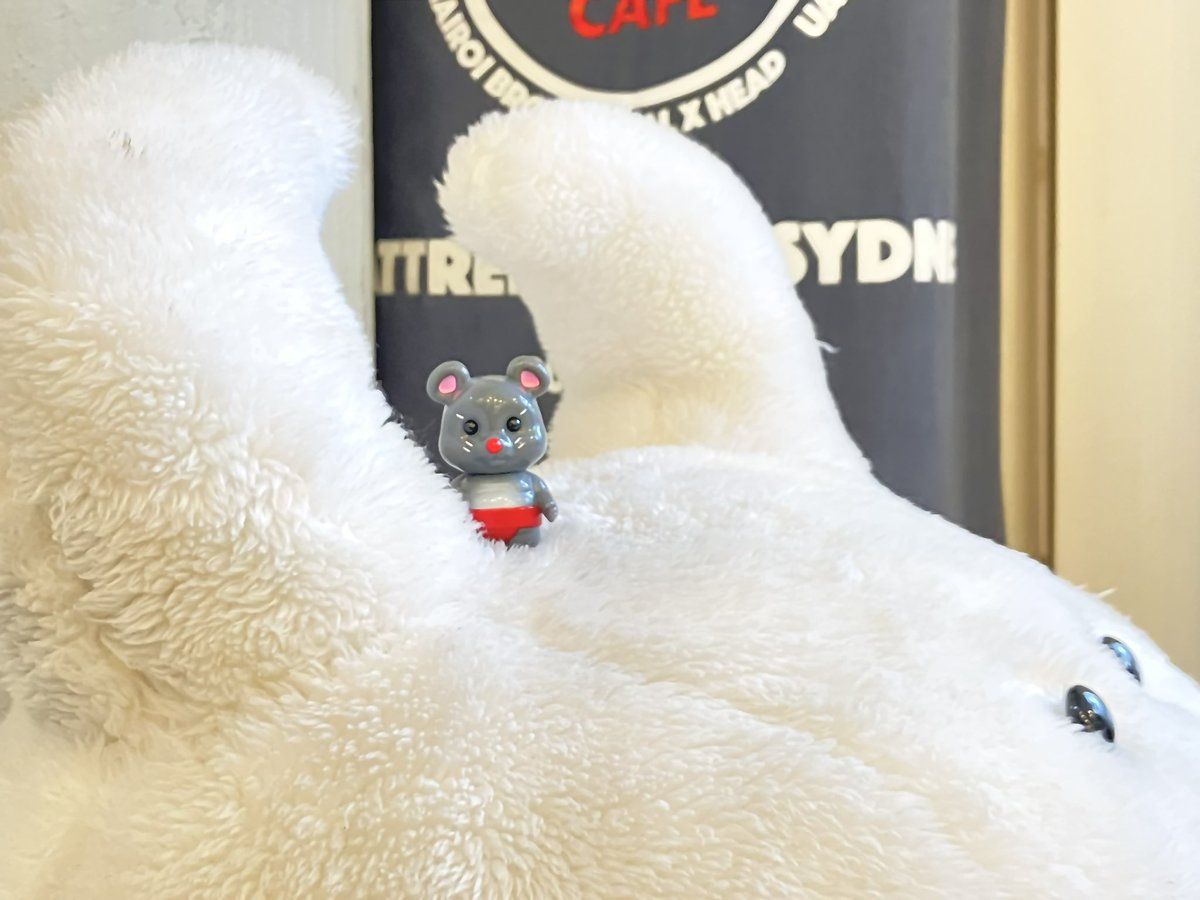 チュウズ (@chuu_55_chuu) / Posts / X