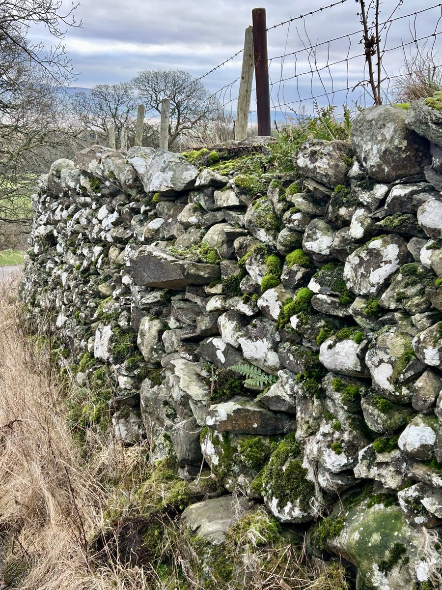 elizabeth tutty tweet media