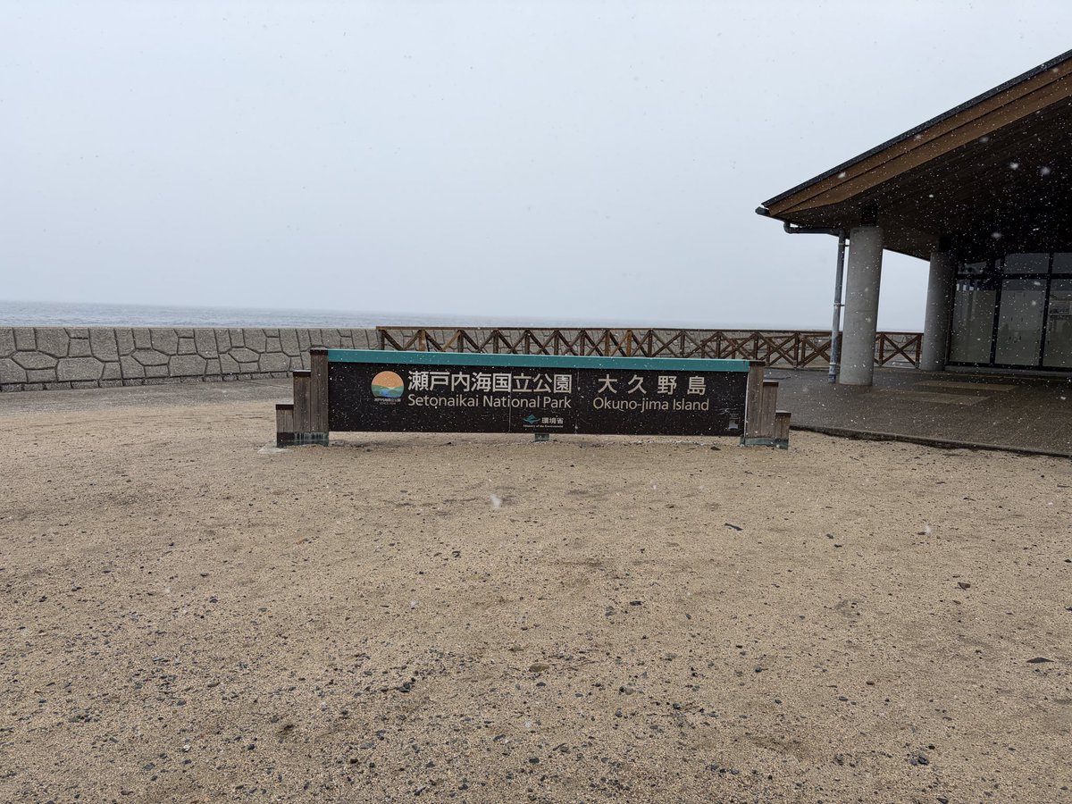 瀬戸内海もふぶいてます

#雪