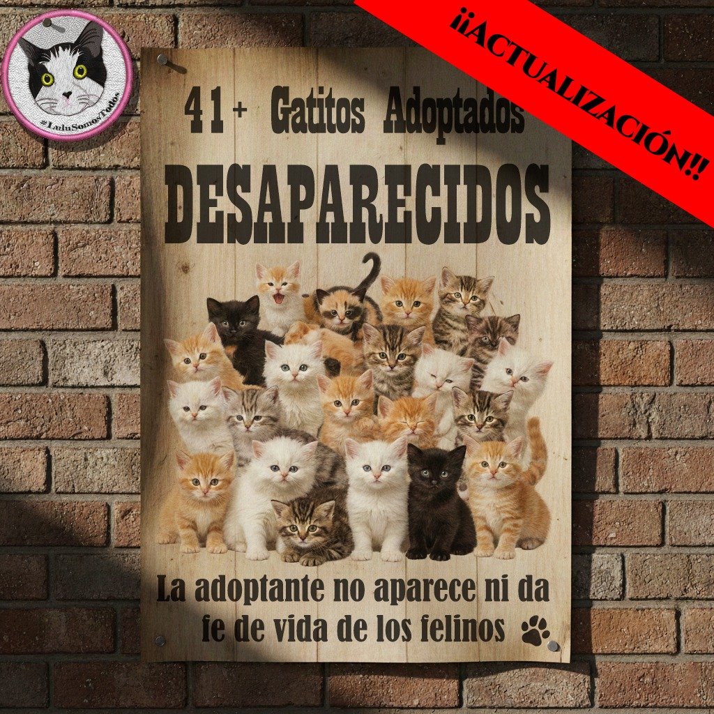 #8Feb. Podemos especular sobre qué pasó al día de hoy con 41+ gatitos adoptados por una odontóloga de nombre Margarita Rodríguez Chacel, según denuncias; y todas serán negativas. Las alarmas se dispararon hace semanas y siguen disparadas. Por favor, protejamos a nuestros