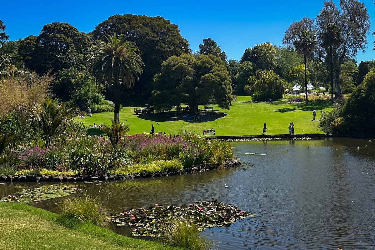 Alli Flanagan tweet media