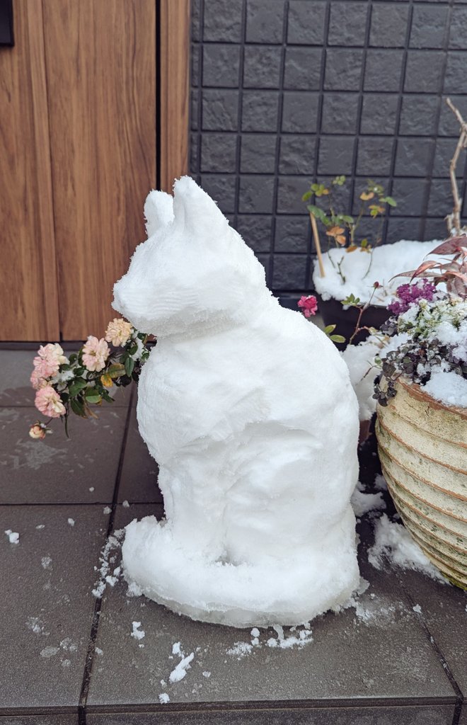 猫の雪だるまを作りました☃️
#雪だるま　#猫だるま
